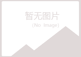 山西夏岚能源有限公司